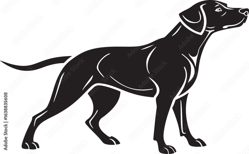 Obraz premium Black silhouette of a pointer dog standing canine animal