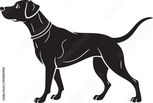 Black silhouette of a pointer dog with collar and leash ring standing