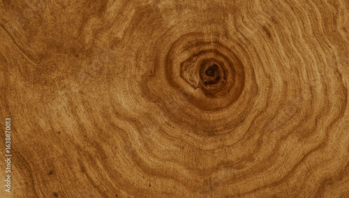 A detailed close-up of a warm brown wood grain texture with a prominent dark knot and swirling rings.