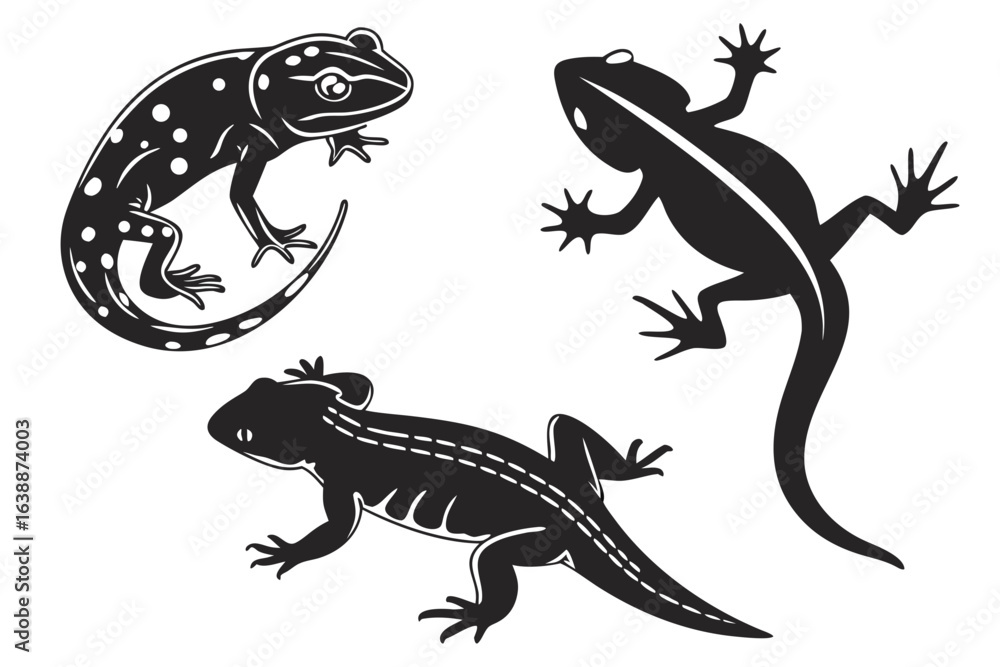 Naklejka premium Amphibians sihouette black vector