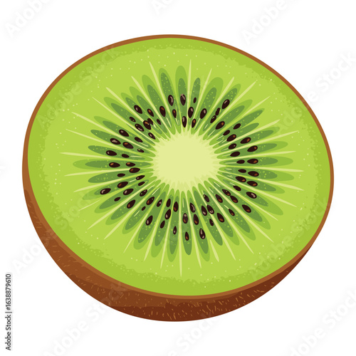 Close-up of a fresh sliced kiwi fruit with vibrant green flesh and seeds – stock vector flat illustration