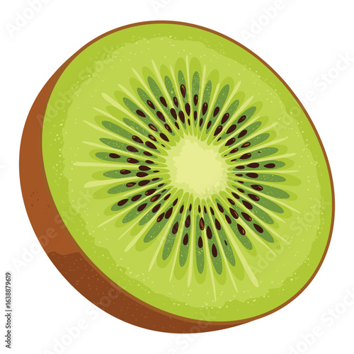 Freshly sliced kiwi fruit with vibrant green flesh and tiny black seeds – stock vector flat illustration