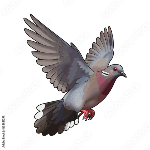 Colorful pigeon in flight with spread wings – stock vector flat illustration