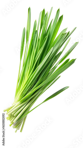 Flying Fresh Green Lemongrass Leaves in Motion isolated on transparent white background, clipping path