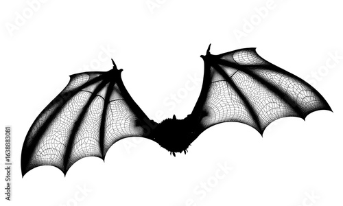 silhouette of a bat in flight with intricate wing details against a white background