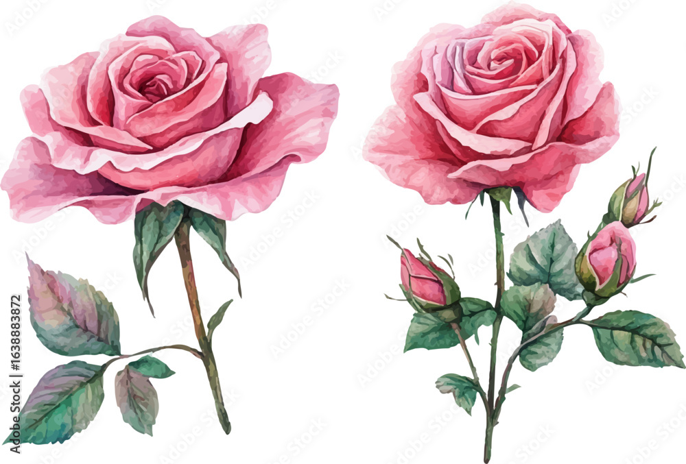 Naklejka premium vector illustration of a pink rose