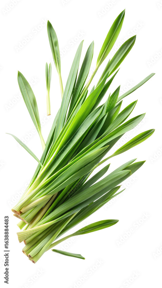 Fototapeta premium Flying Fresh Green Lemongrass Leaves in Motion isolated on transparent white background, clipping path