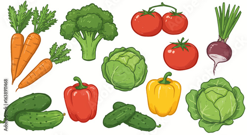 Colorful hand-drawn illustration of fresh vegetables: carrots, broccoli, tomatoes, cabbage, peppers, cucumbers, and beets.