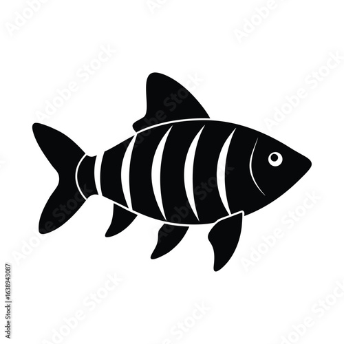 black vector silhouette of a tiger barb distinct.eps