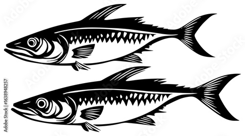 Silhouette of a Mackerel Group Moving in Synchronized Speed