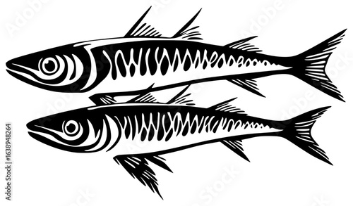 Silhouette of a Mackerel Group Moving in Synchronized Speed