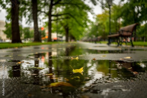 Rainy park path with reflections and empty bench