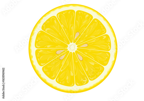 Vibrant Lemon Slice Illustration with Seeds and Texture.