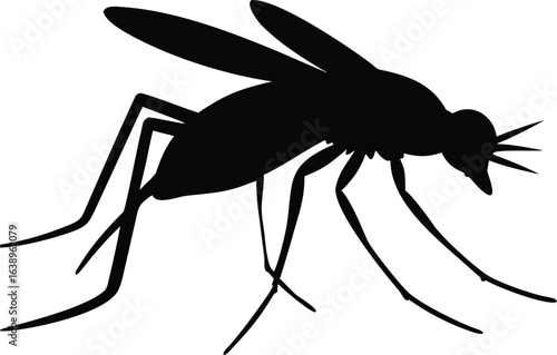 Black silhouette of a mosquito with long legs and wings insect white