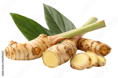 Fresh galangal root with green leaves isolated on transparent background