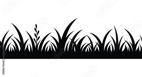 Silhouette of Grass Blades and Meadow Plants