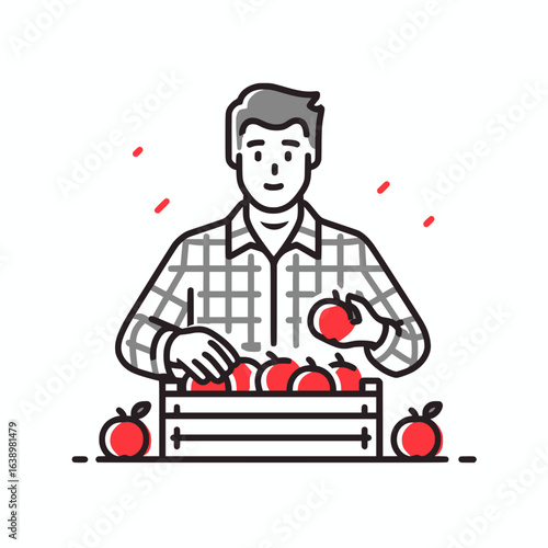 Flat Line Icon – Farmer Sorting Fresh Apples into Crate