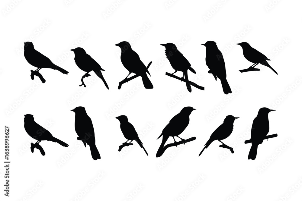 Obraz premium Birds set black silhouette isolated vector