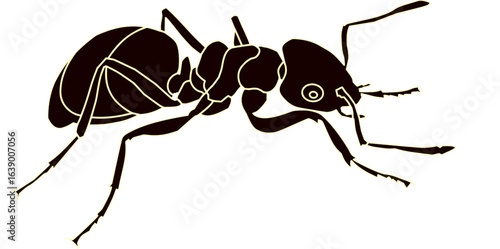 ant silhouette on white background. Ants Icon Flat Graphic Design. ant logo vector silhouette illustration, vector illustration of ant logo icon design, vector of a black silhouette ant