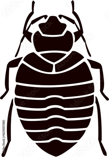 Bed bug silhouette vector. Detailed black and white illustration of a bed bug with anatomical features. Vector retro hand drawn illustration. Bedbug Icon Flat Graphic Design