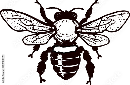 black and white Honey Bee. Bumble bee. Bee Honey Tattoo engraving vector logo icon illustration
