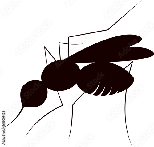 Silhouette vector of a Mosquito. illustration mosquito silhouette vector