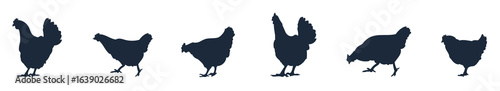 Silhouette of a rooster on white background, Rooster Vector Silhouette Rooster Silhouette Chicken Silhouette, Vector ESP 10 Illustration. vector illustration