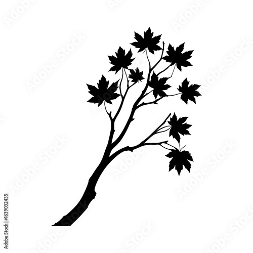 A beautiful image of a tree branch drawn in black and white lines, a symbolic painting suitable for modern design.