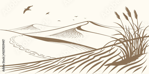 Seagulls soar over rolling sand dunes with tall grasses blowing in the wind
