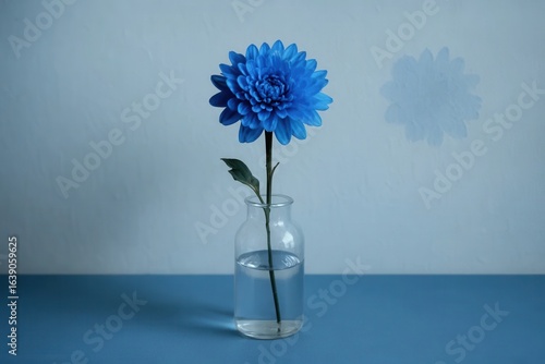 A single blue flower in a clear glass vase on a blue surface with a blurred background