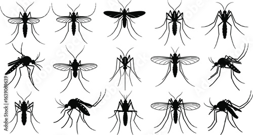 Mosquito silhouettes, sixteen poses, insect anatomy, wing detail, leg structure, body shape, black figures, grid layout, entomology design, bug illustration