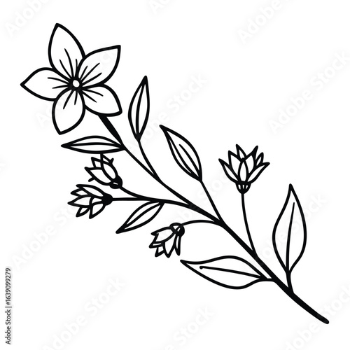 Elegant floral branch with blooming flowers and leaves