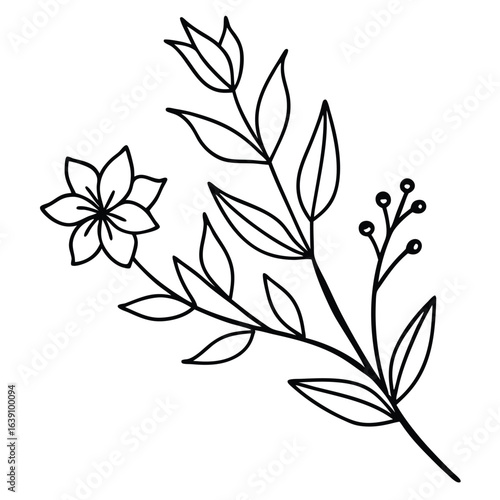 A delicate line drawing of a flowering plant with leaves and buds on a white background.