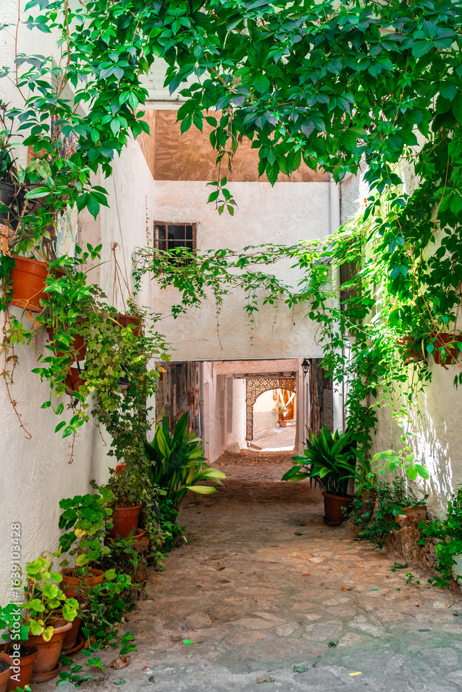 Fototapeta premium Beautiful flowers in a Spanish old town street , in Molinicos town, Castilla la Mancah, Spain.