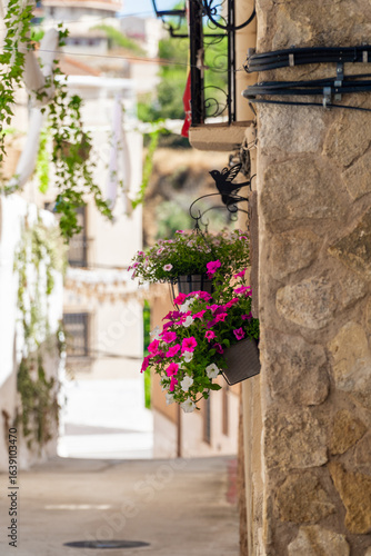 Beautiful flowers in a Spanish old town street , in Molinicos town, Castilla la Mancah, Spain.