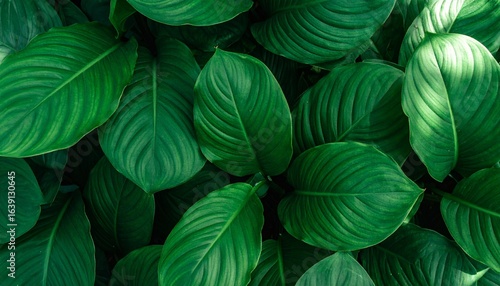 Wallpaper Mural Close up of green leaf with yarn and knitting texture Torontodigital.ca