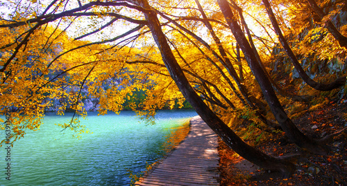 wonderful nature view, famous Croatian place, Plitvice lakes, Europe, Croatia...exclusive - this image is sell only on Adobe stock