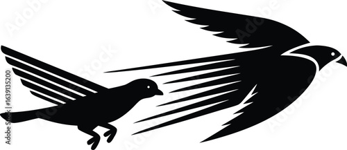 Stylized Black Bird Icons Sparrow Taking Off, Falcon MidFlight with Abstract Feathers