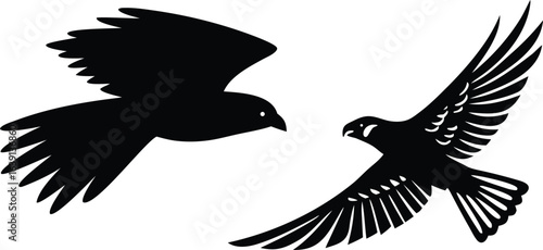 Wallpaper Mural Two Silhouetted Birds in Flight with Detailed Feather Patterns on White Backdrop Torontodigital.ca