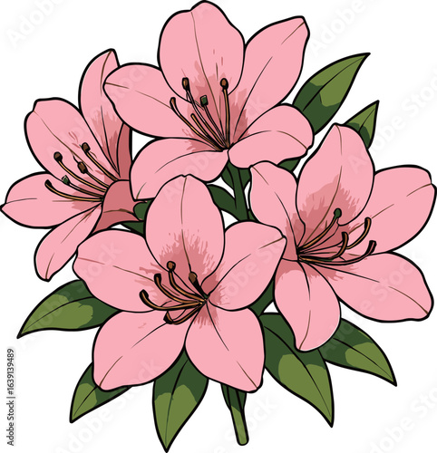 ピンク色のツツジのイラスト