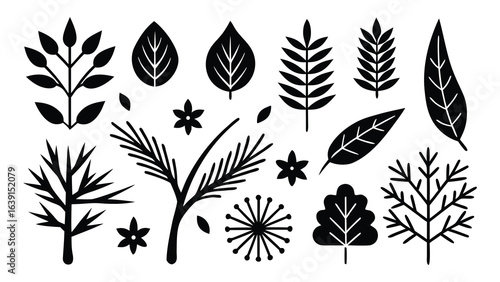Vector art of assortment of botanical plant elements, leaves, branches and flowers in black silhouette isolated on white background.