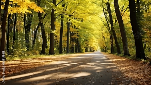 Calm forest road lined with yellow-leafed trees, fallen leaves rustling gently on the dark ground, peaceful autumn light streaming through