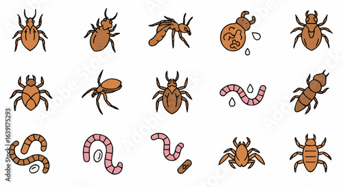 An illustration of various insects with different shapes and sizes. 