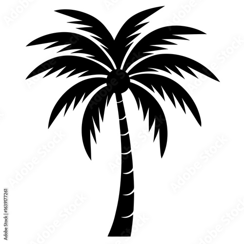 silhouette of palm tree