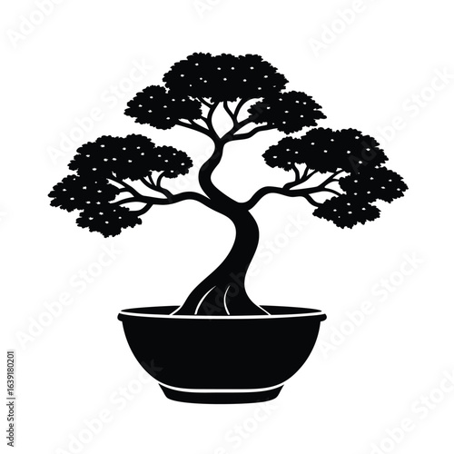bonsai tree isolated on white