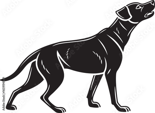 Black silhouette of a pointer dog howling animal canine