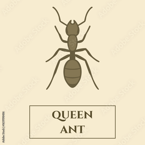 Queen Ant Identification Card — Brown Colony Matriarch