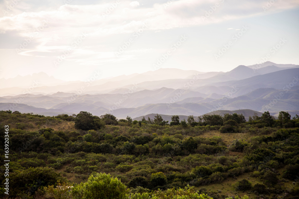 Fototapeta premium Panoramic view of mountains and wilderness in South Africa