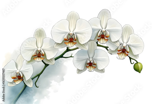 A cluster of elegant white orchids showcases their intricate petals and warm-toned centers on a slender green branch against a calming background. This radiant display highlights natures beauty.