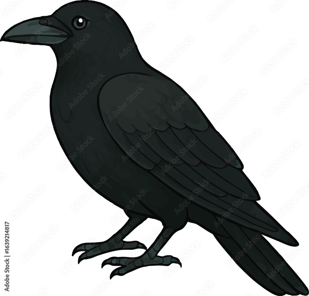 Fototapeta premium Crow Sitting Vector Illustration – Isolated Bird Graphic in Flat Style on White Background